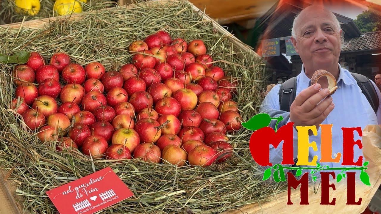 Immagini da Mele a Mel 2025 - Una grande festa dei Sapori, delle cose belle e delle Persone Vere.