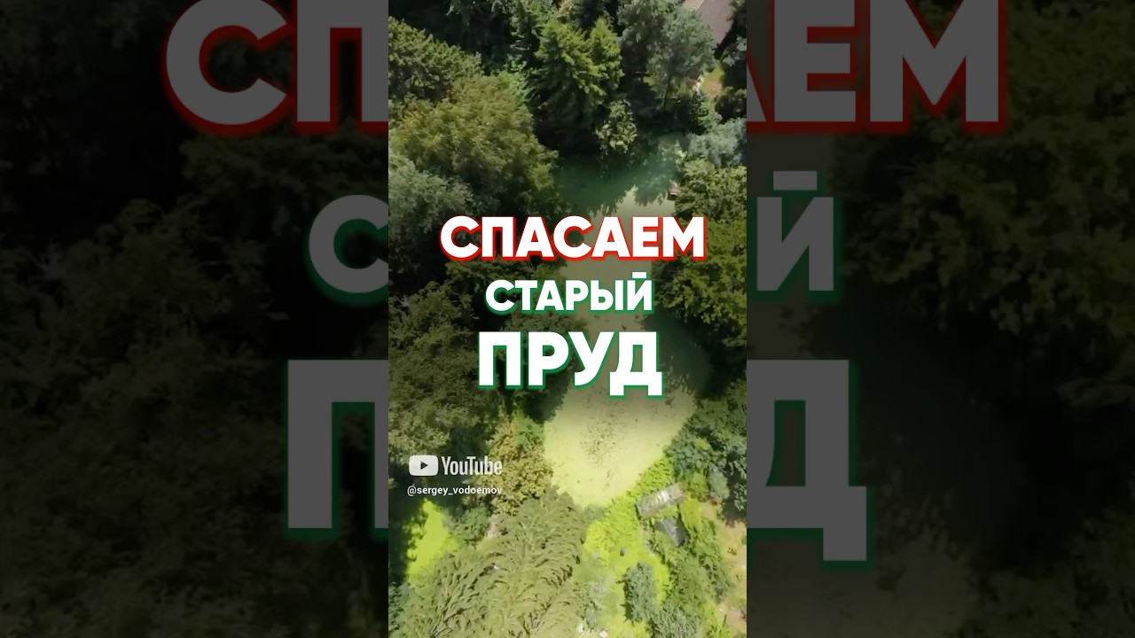 Спасаем старый и заросший пруд бюджетными способами. #ВосстановлениеПруда #ОчищениеВоды