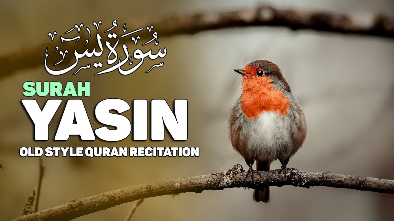 Most beautiful recitation of Surah Yaseen (Yasin) سورة يس ⋮ |Al Furqan TV