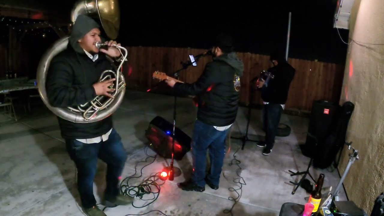 Paloma Azul-Grupo Los Alegres