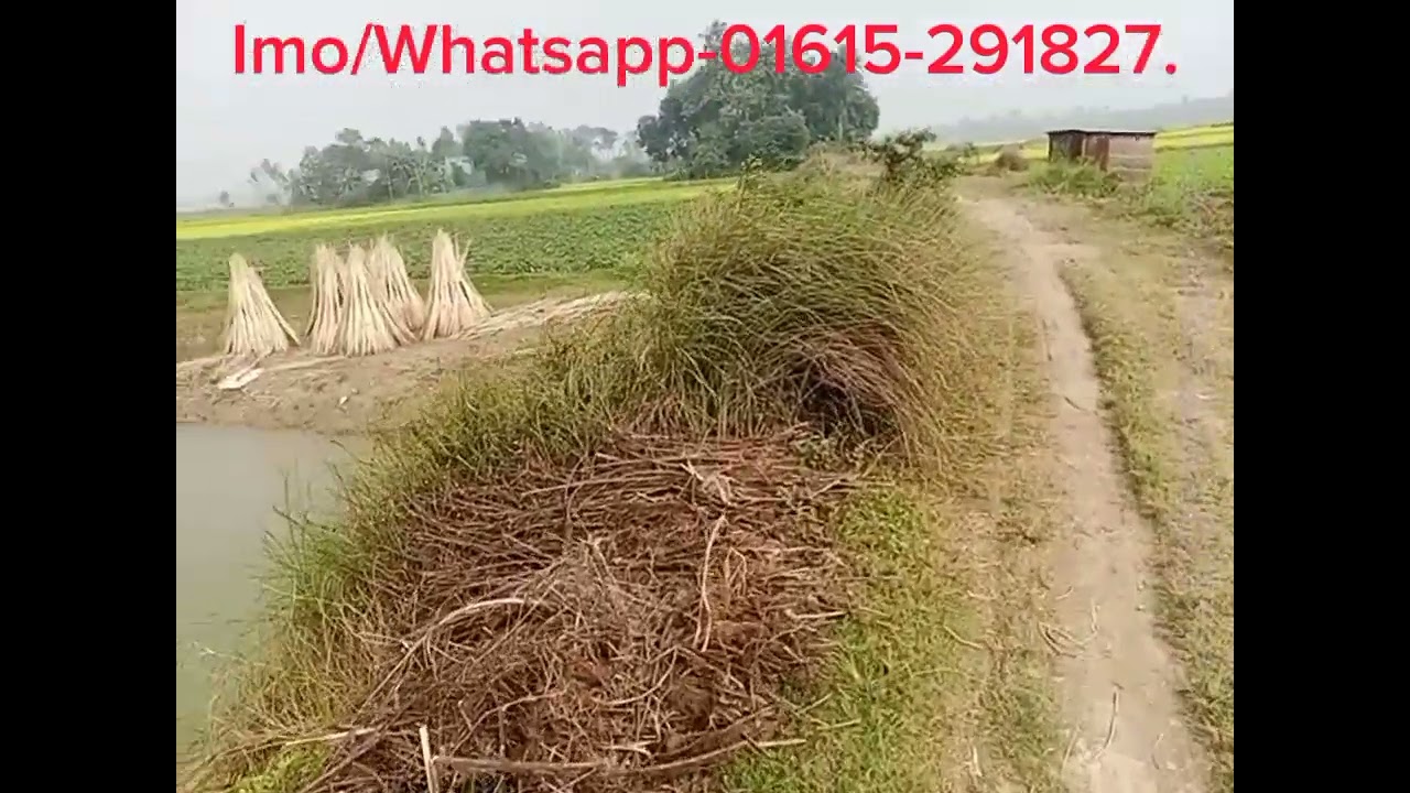 মাত্র ৩৫ হাজার টাকা শতাংশ জমি ৩০ ফুট রাস্তার পাশেই জরুরি বিক্রি ধামরাই উপজেলায়। ০১৬১৫-২৯১৮২৭.