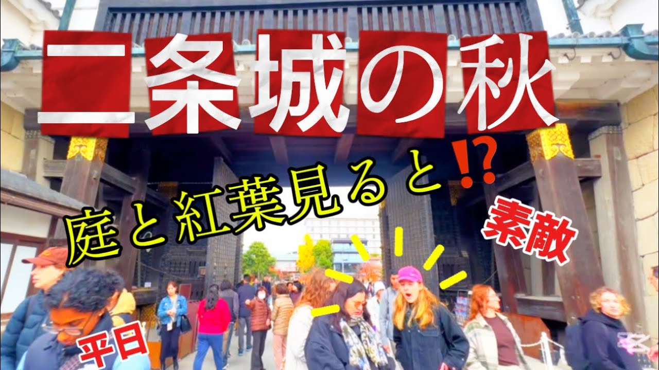 【京都の秋シーズン2025•二条城秋】ほぼ外国人観光客賑わう‼️| Nijo Castle in Autumn season 