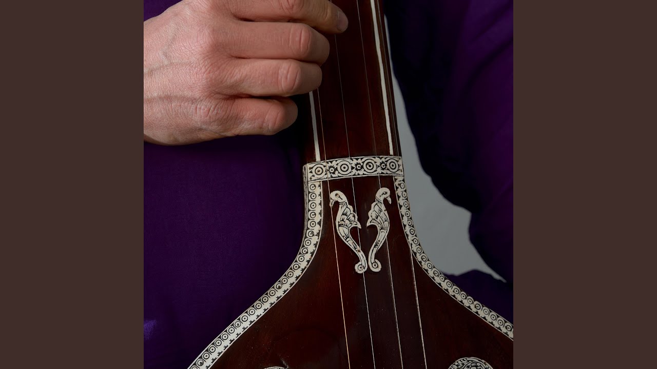 Sitar Serenade