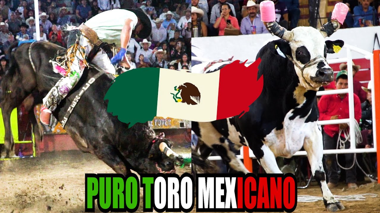 ¡YA CASI NO SE VEN DE ESTOS TOROS! RECOPILACION DE PUROS TOROS MEXICANOS EN EL JARIPEO