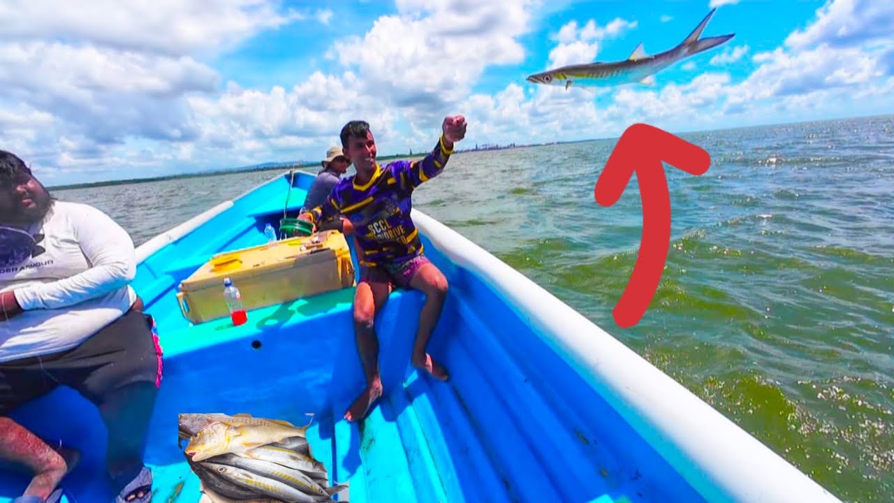 1 час рыбалки в заливе #Тринидад