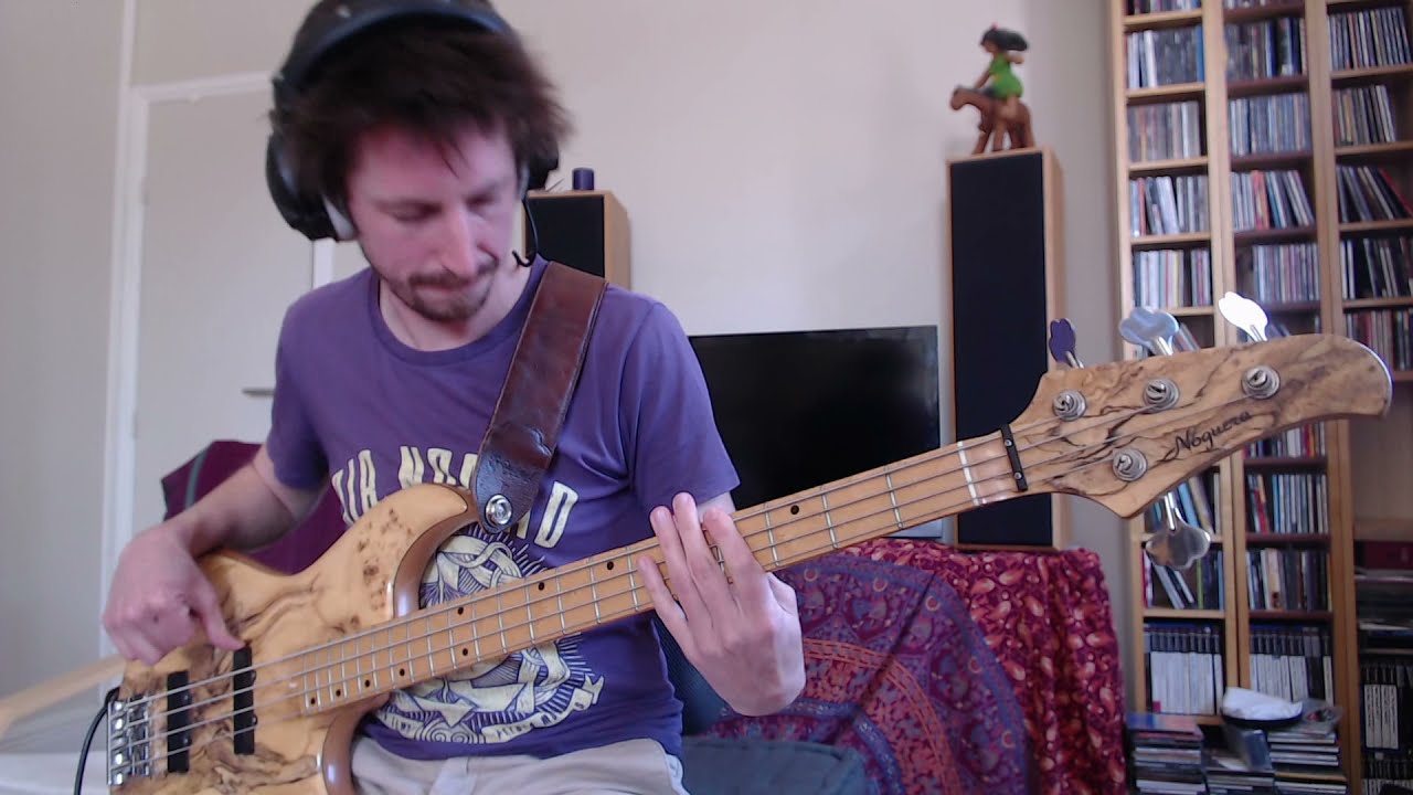 Me'shell Ndegeocello - I'm Diggin' You (bass cover)