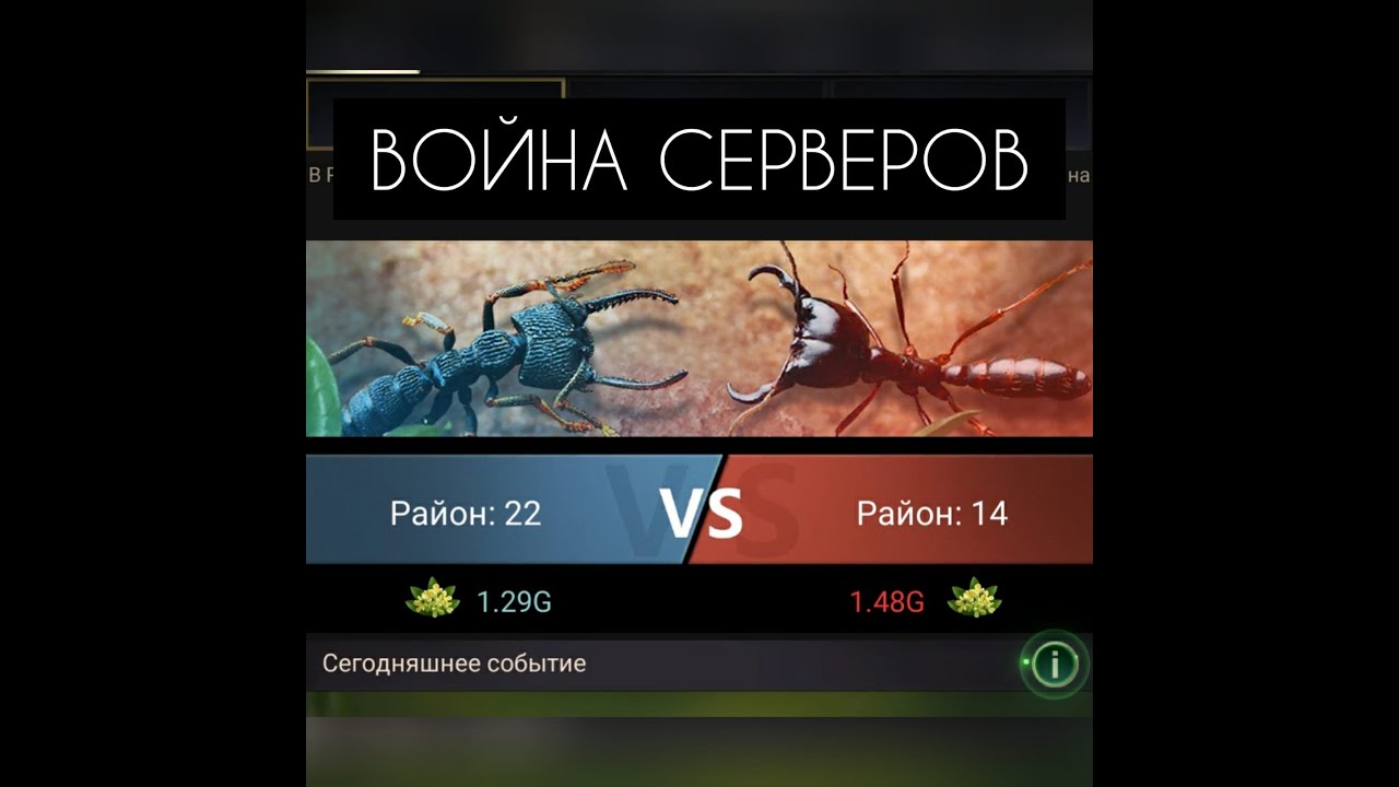 The Ants, Strongest Warzone Event. Как правильно проходить? Что и когда качать? Всё о ивенте Варзон!