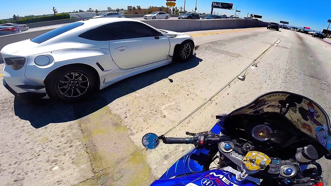 NOT NORMAL - MEATZILLA!