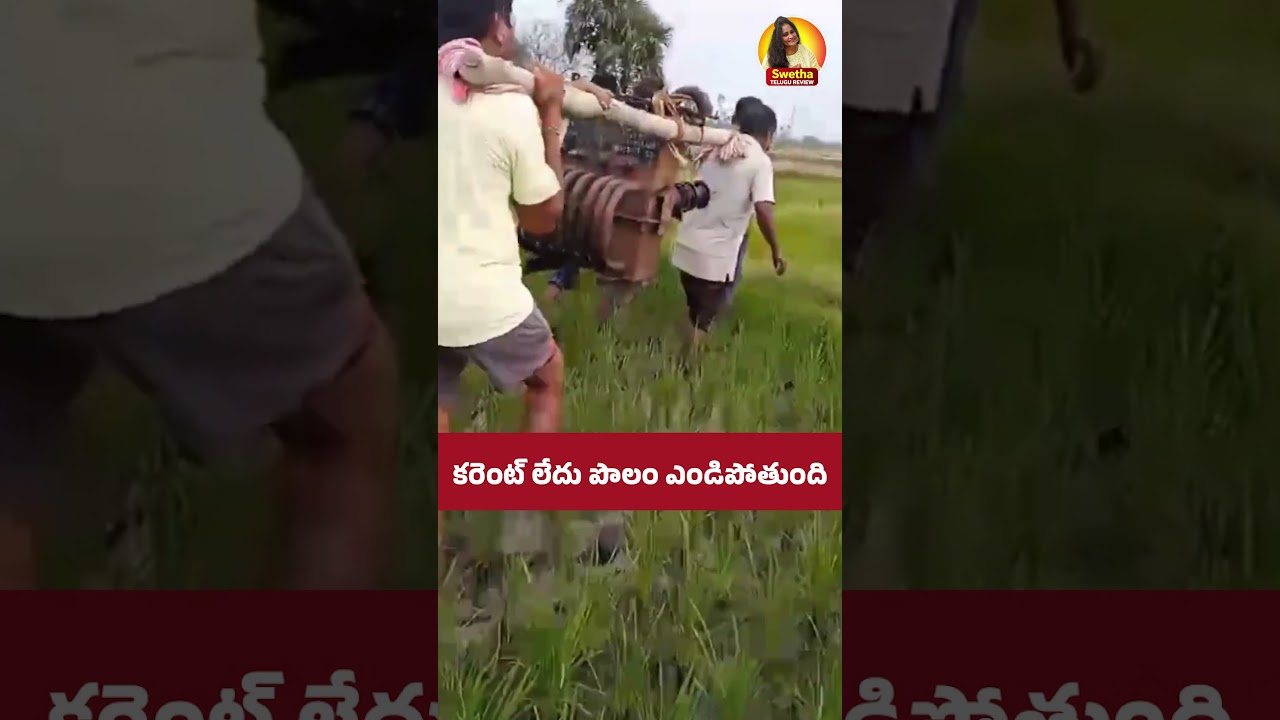 Papam No Current | Transformers | Swetha Telugu Review