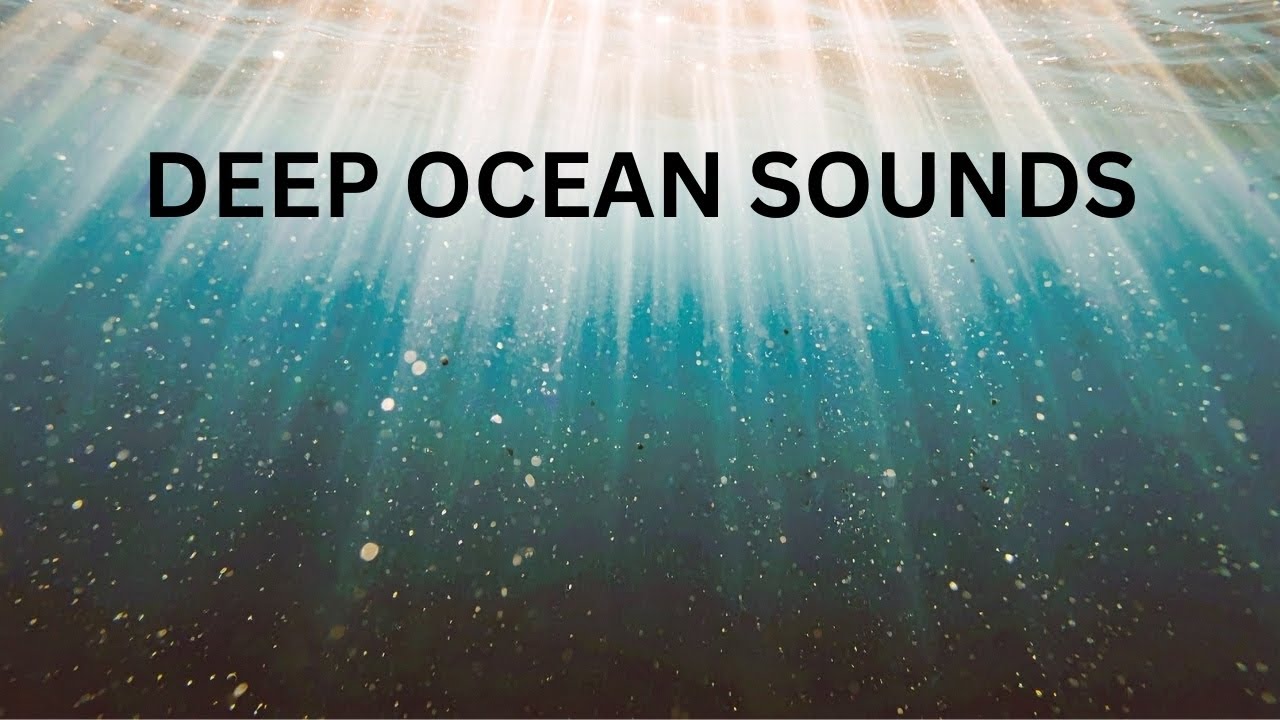 Peaceful Aquatic Soundscape 🌊 Relax, Meditate, Sleep Deeply