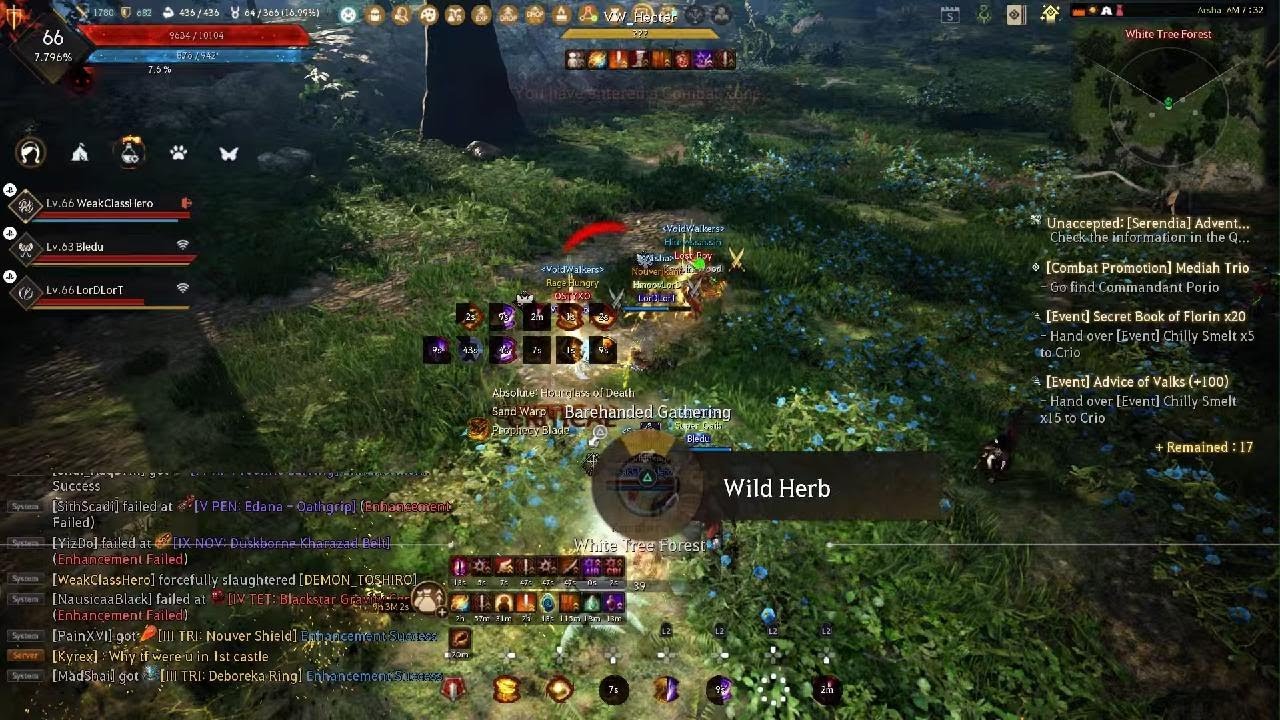 Black Desert Online Consoles - Where the Trees Meet
