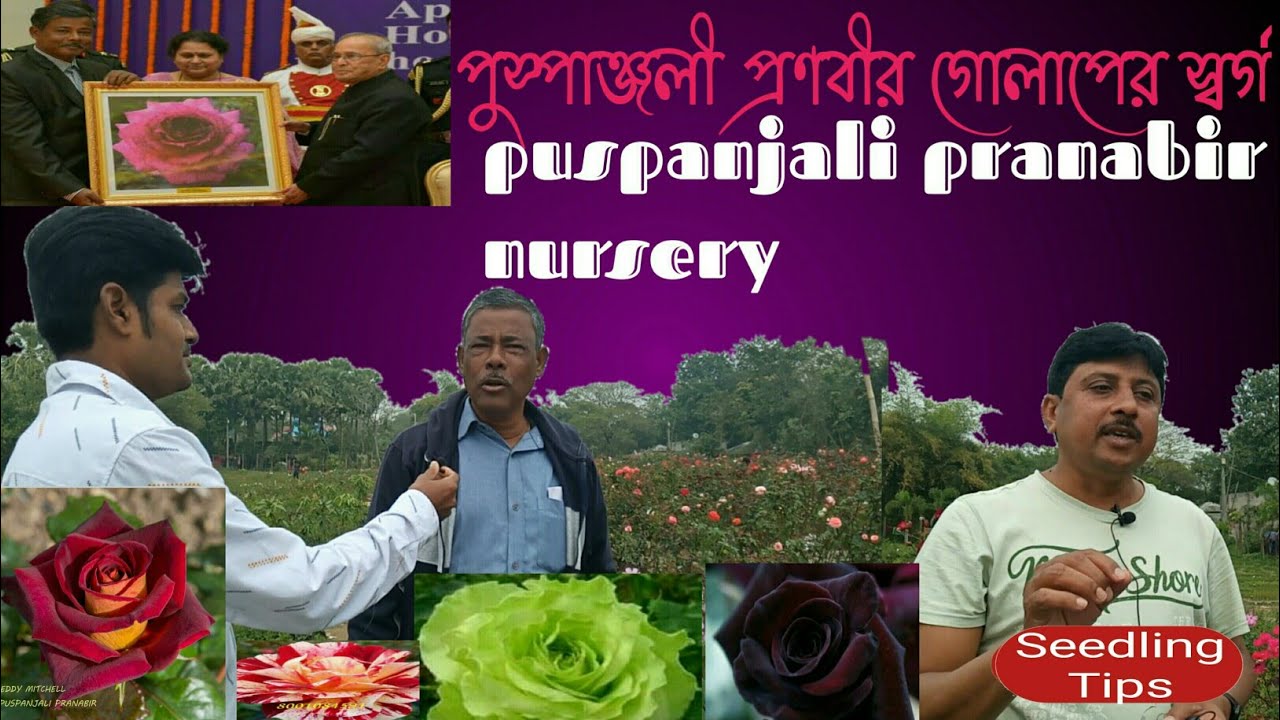 পুস্পাঞ্জলী প্রণবীর ভারতের সবচেয়ে বড় গোলাপের নার্সারি।।Pushpanjali  India's Biggest Rose Nurser।।