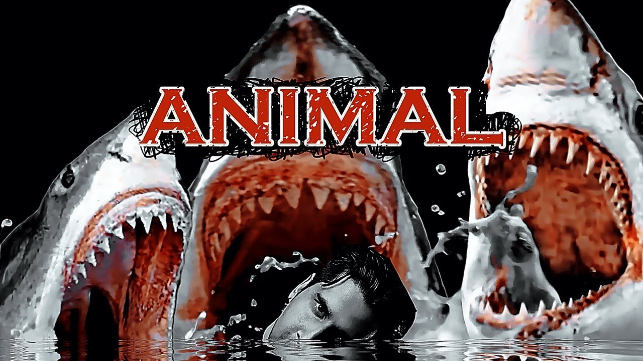 HEARTLESS ANIMAL | An Animalistic Visual Expression