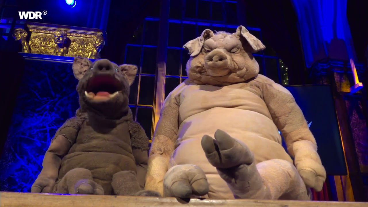 Ist Steffi rechts? | Die Schweine Steffi und Torsten | Mitternachtsspitzen