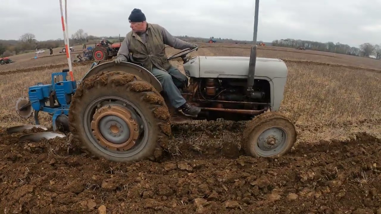 1957 Ferguson FE35 Gold Belly 2.3 Litre 4-Cyl Diesel (34 HP) with Ransomes Plough