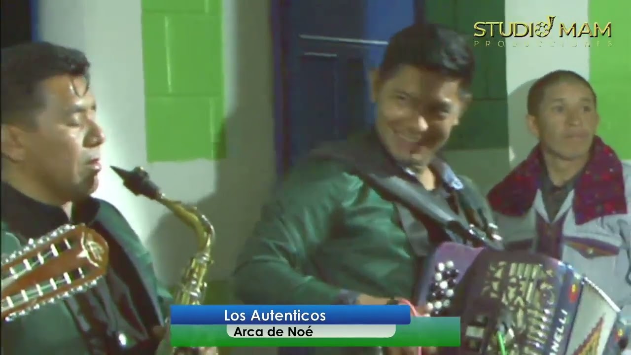 los autenticos arca de noe
