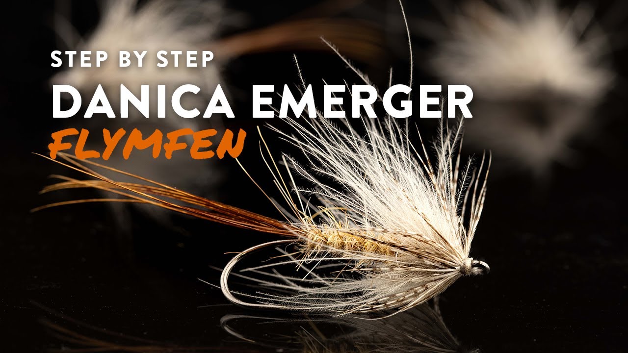 DANICA EMERGER - De selektive fisk spiser flymfer!