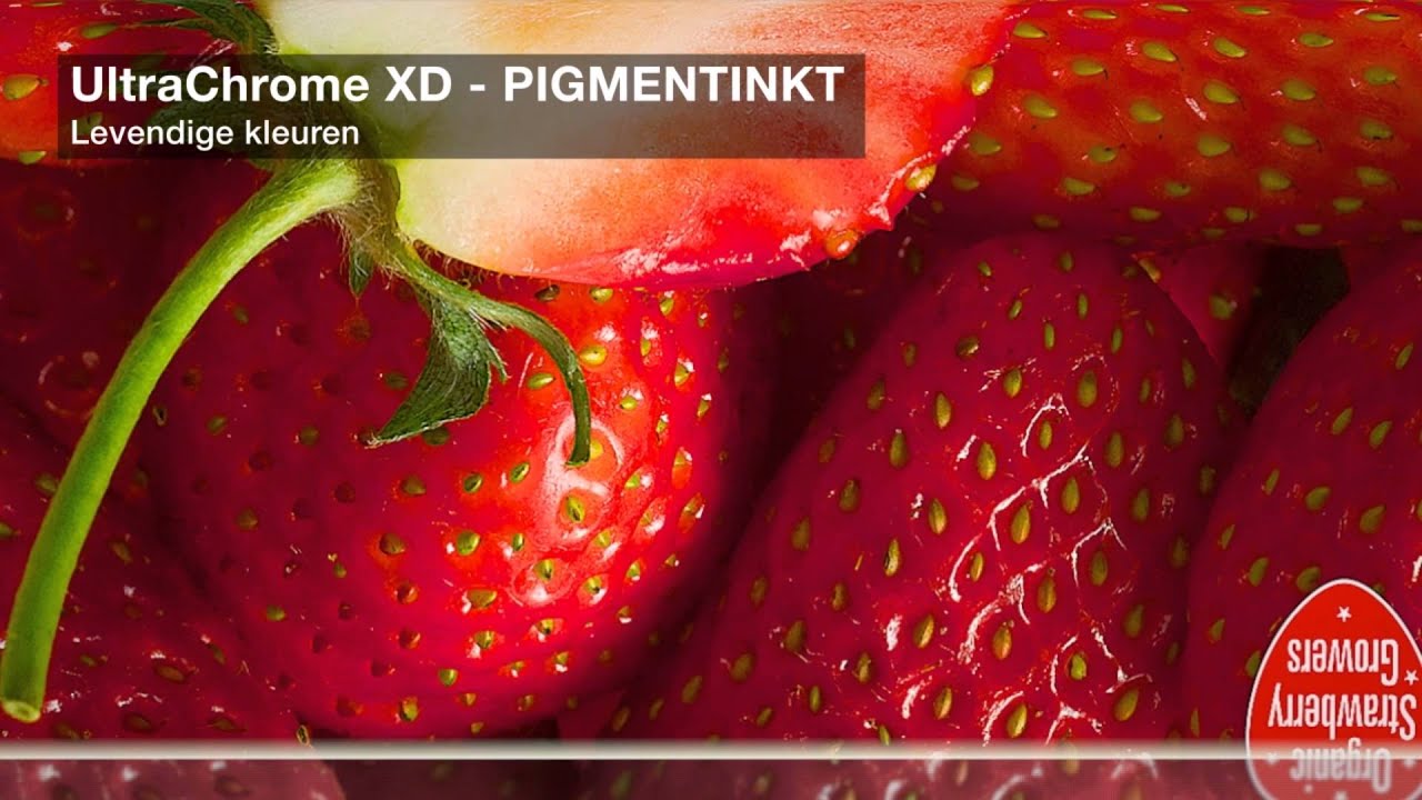SureColor SC T5200 Product Video nederlands