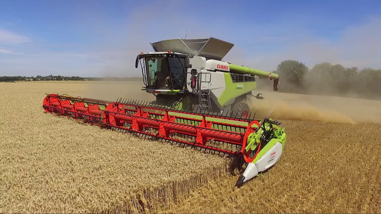 MJ & SC Collins - Agriculture 2020