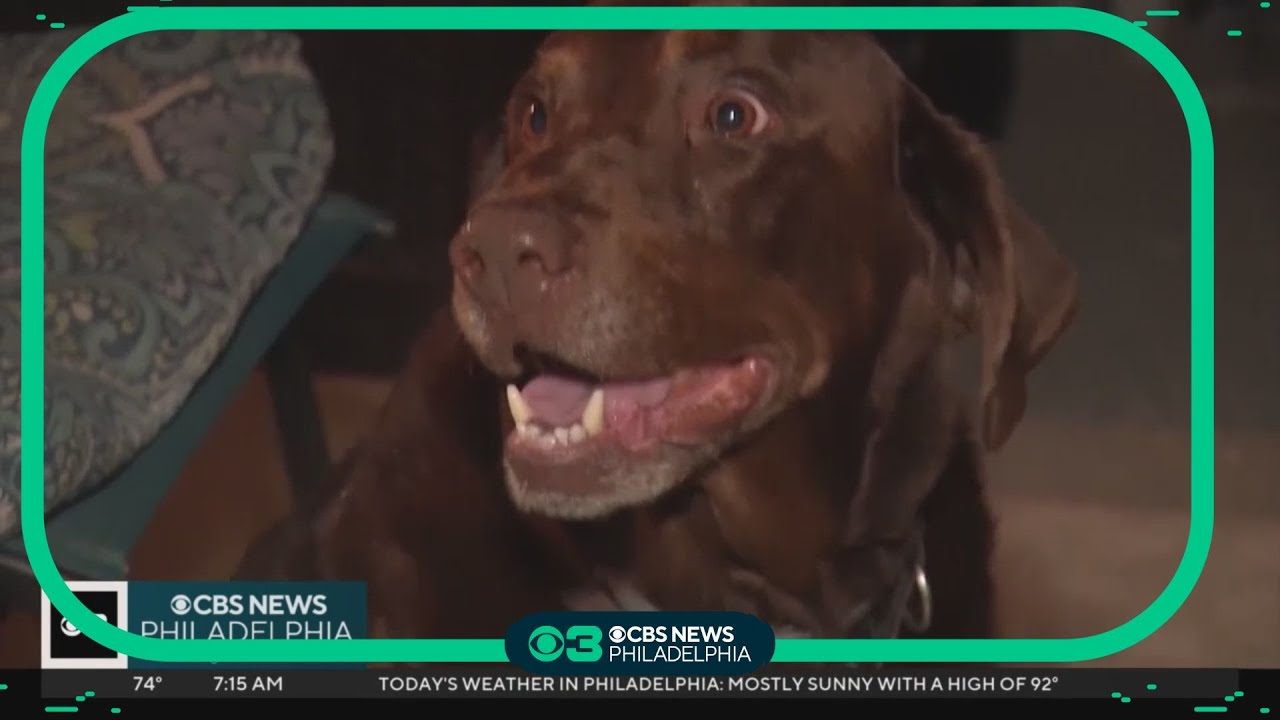 Barking dog leads to capture of Pennsylvania jail escapee