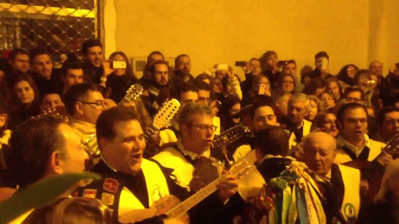 Tuna Medicina Sevilla - Inmaculada (Postigo 2012)