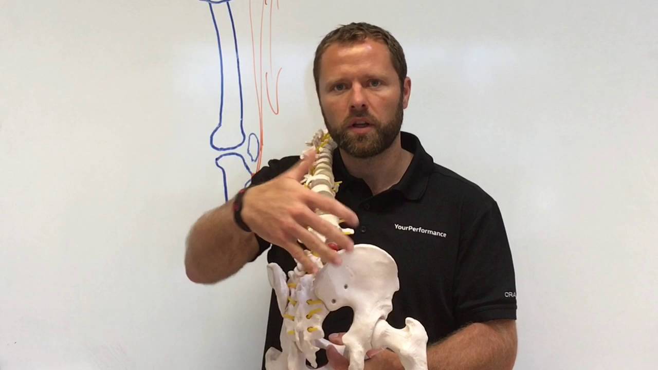 Schlatter knæ