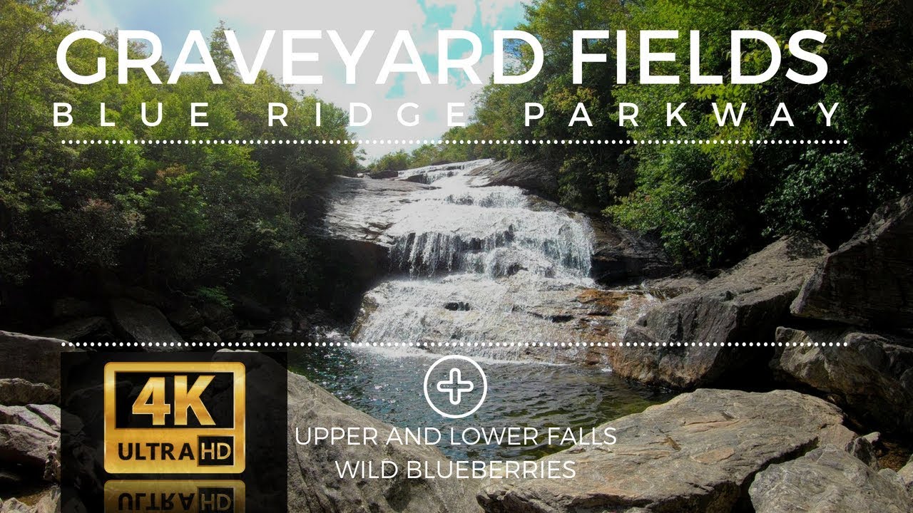 Beautiful Graveyard Fields Hike in 4K - Upper and Lower Falls and BLUEBERRIES!