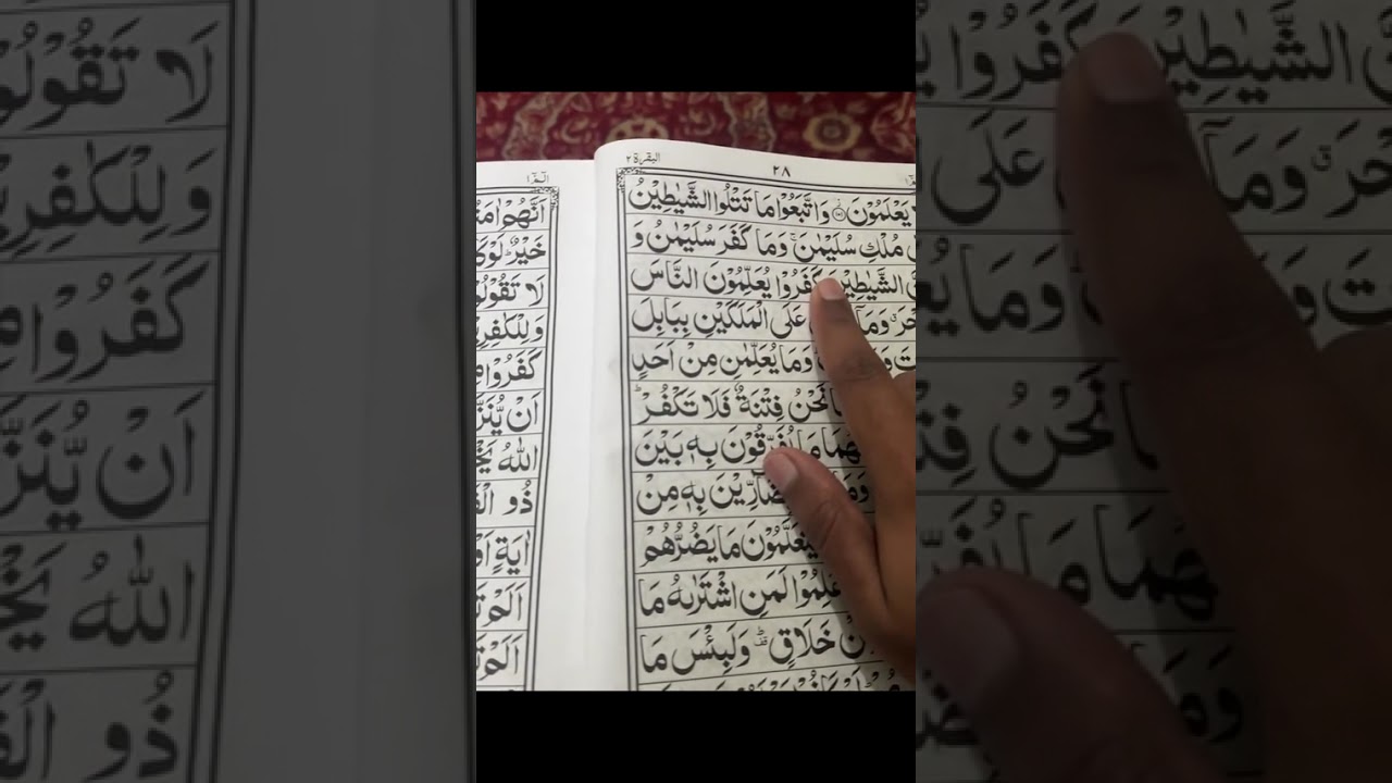 Daily Quran lesson:28 (International Quran learning)