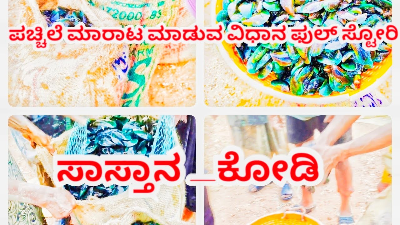 ಪಚ್ಚಿಲೆ ಮಾರಾಟ ಮಾಡುವ ವಿಧಾನ ಫುಲ್ ಸ್ಟೋರಿ ಸಾಸ್ತಾನ _ಕೋಡಿ subscribe my chanel
