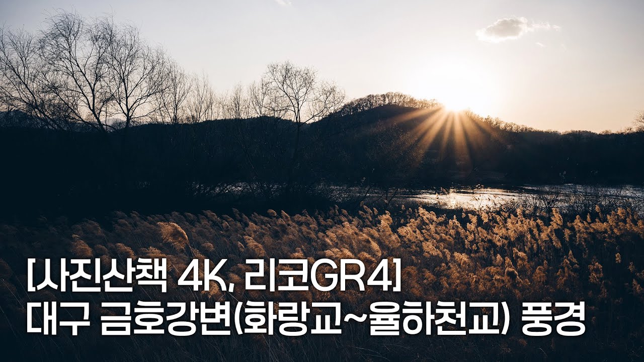 [사진산책 4K 리코GR4] 대구 금호강변(화랑교~율하천교) 풍경ㅣ1인칭시점 걷기 동영상ㅣPOV Street Photography