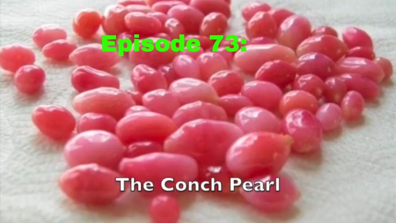 Episode 73: Conch Pearls