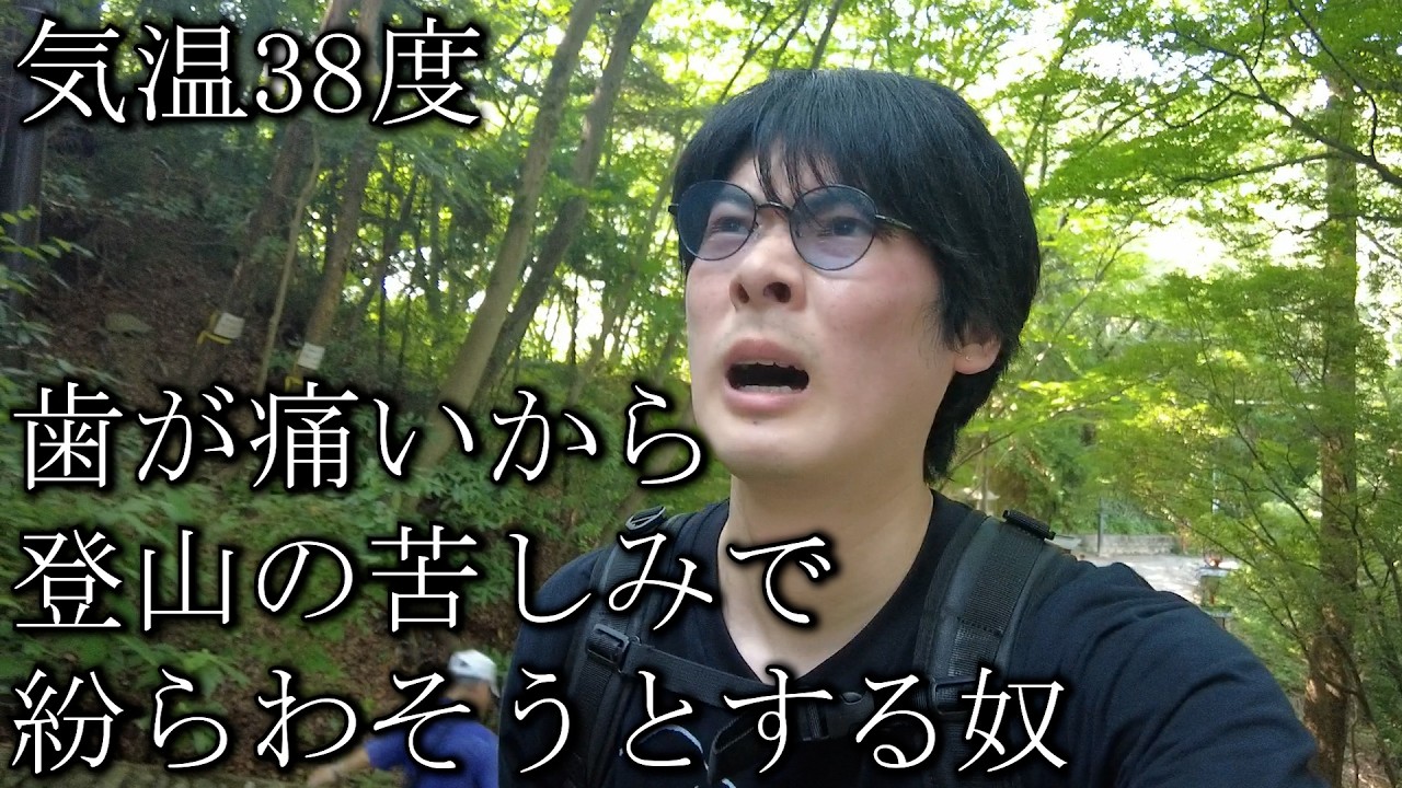 歯が痛いから真夏登山の苦しみで痛み紛らわそうとする奴