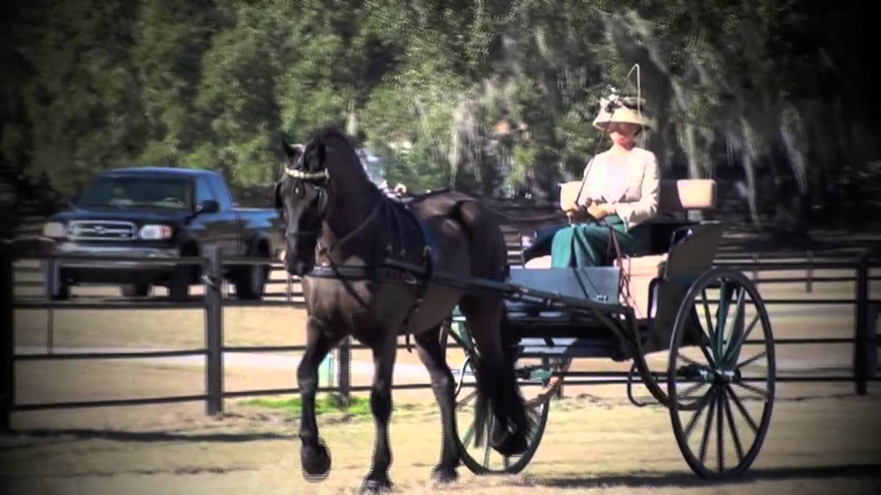 Two-Wheeled Carriage