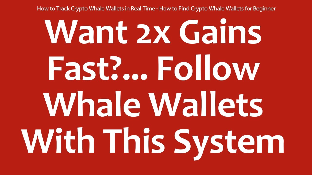 How to Track Crypto Whale Wallets in Real Time - How to Find Crypto Whale Wallets for Beginner
