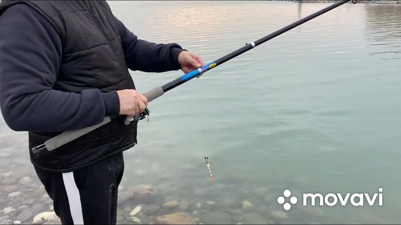 Поехали ловить сбежавшую форель / Лазаревское