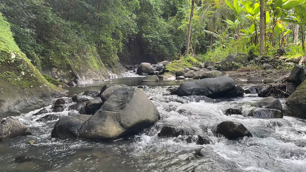 Peaceful River Sounds at Night 🌌 Deep Sleep Meditation & Calming Nature Vibes