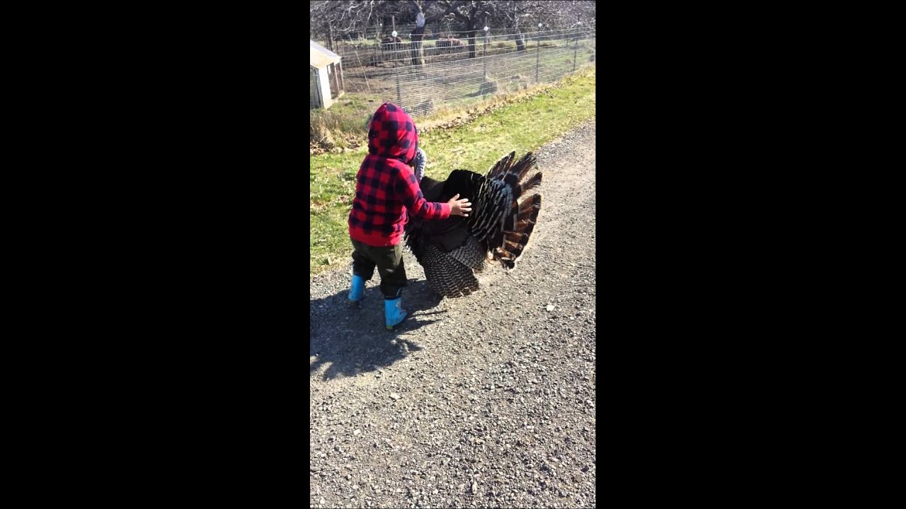 Turkey hug