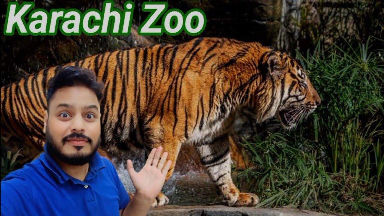 Karachi Zoo | Karachi Garden Zoo