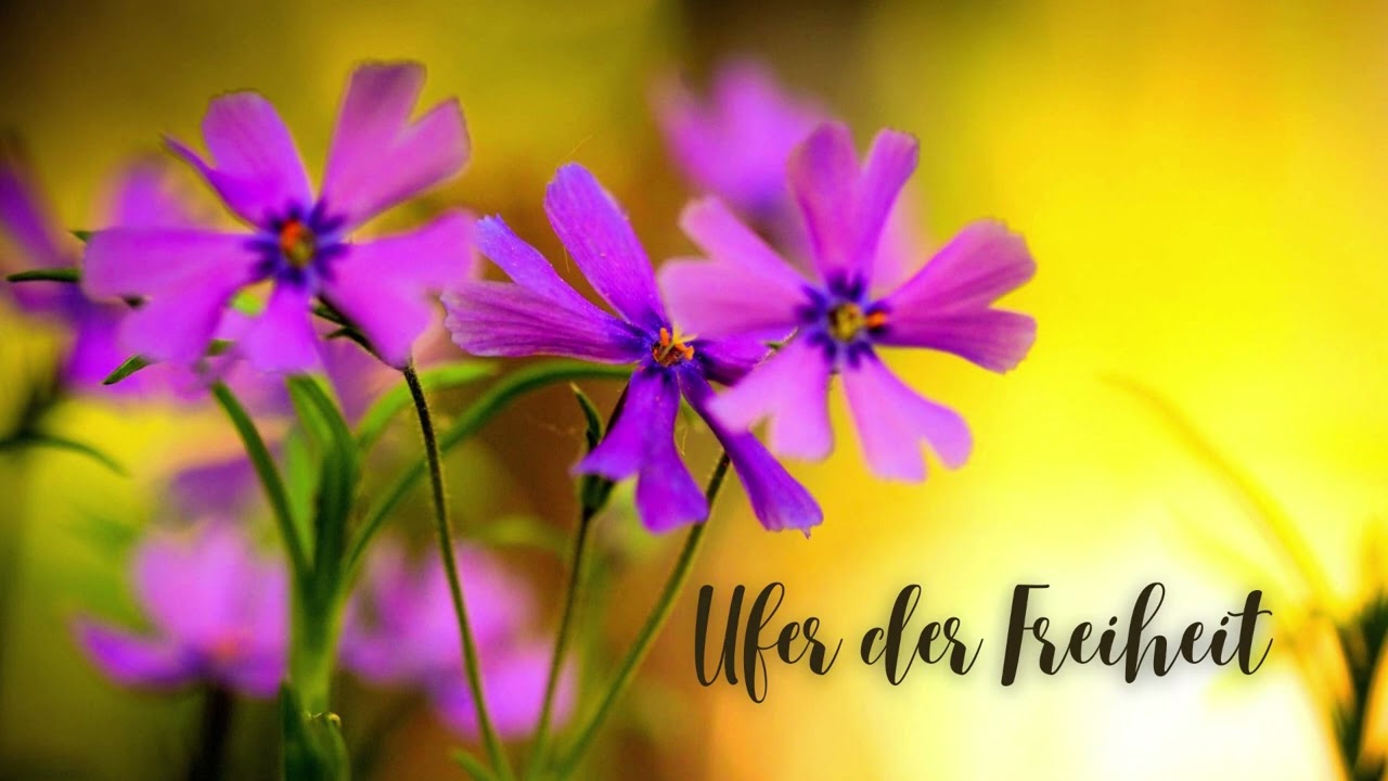 Ufer der Freiheit – Vom Loslassen der Dogmen & dem Fluss des Lebens folgen