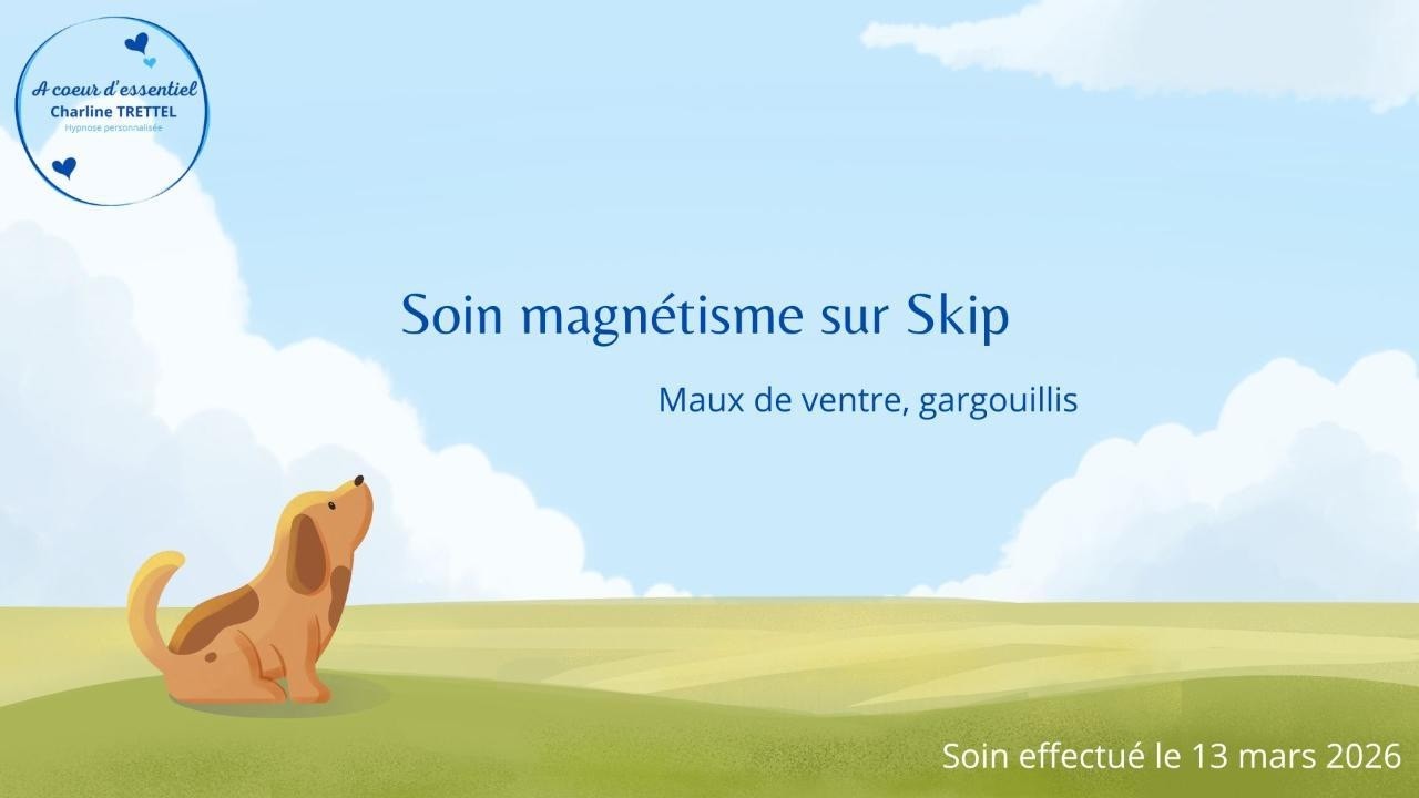Soin magnétisme animal - Charline Trettel - A coeur d'essentiel