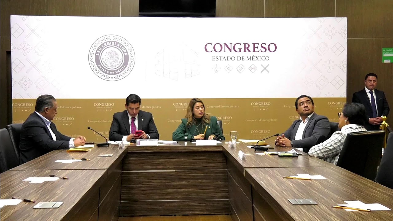 17/03/2026: Comisiones Unidas de Gobernación y Puntos Constitucionales / Desarrollo Económico...