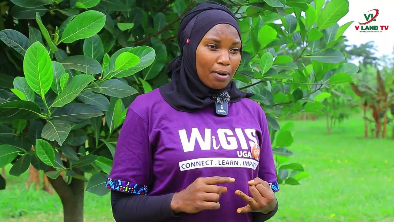 HOW TO IMPLEMENT SUSTAINABLE PRACTICES IN OUR DAILY LIFE