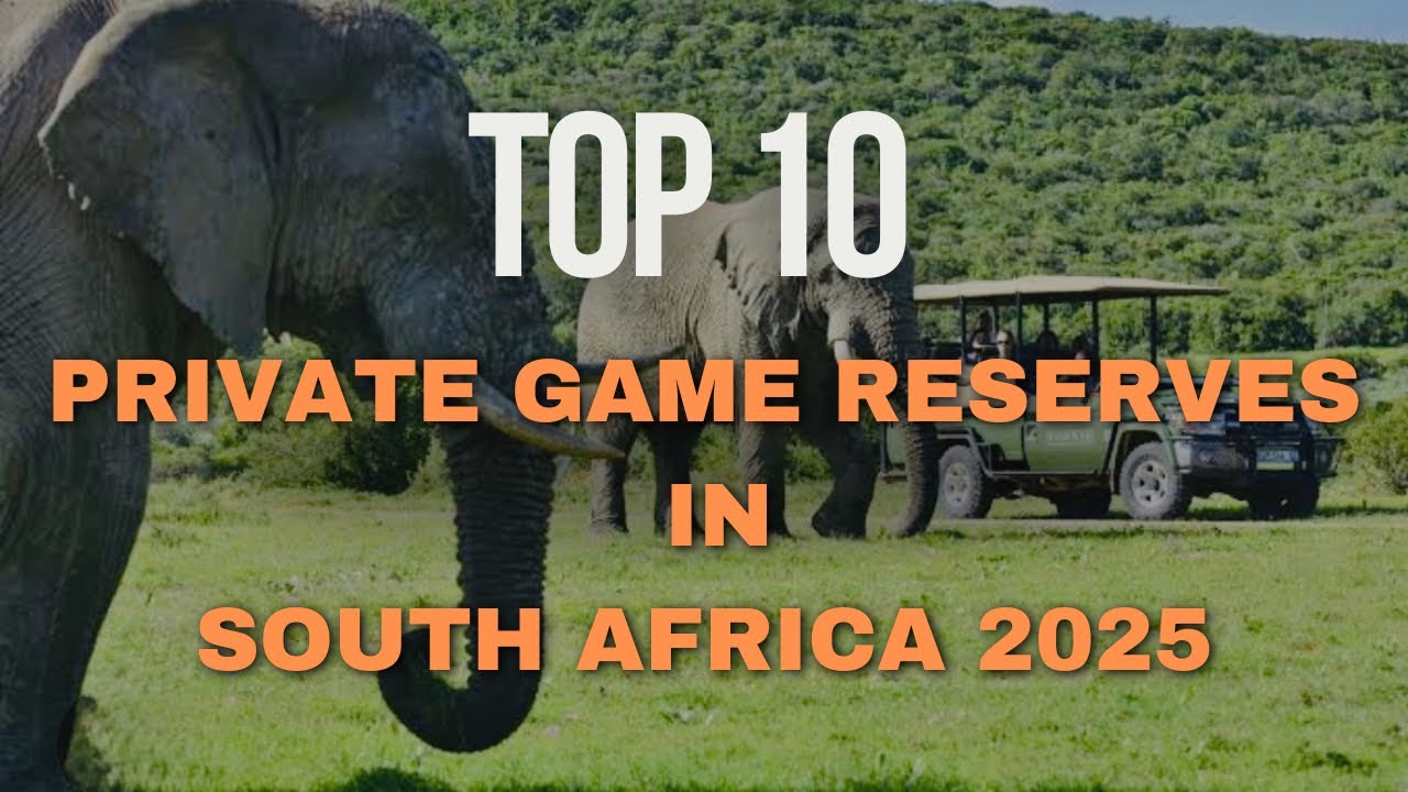 Top 10 Private Game Reserves in South Africa | Luxury Safari Experiences & Untamed Wilderness