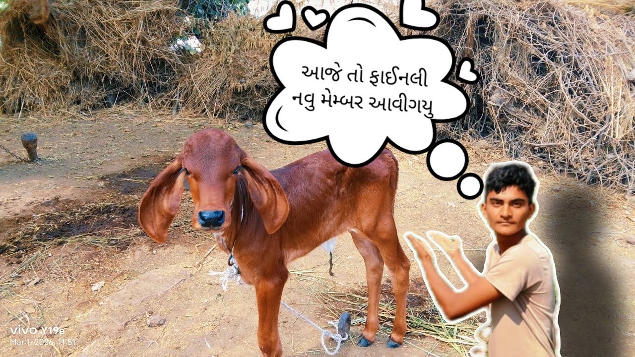 આજે તો ફાઈનલી નવુ મેમ્બર આવીગયુ 