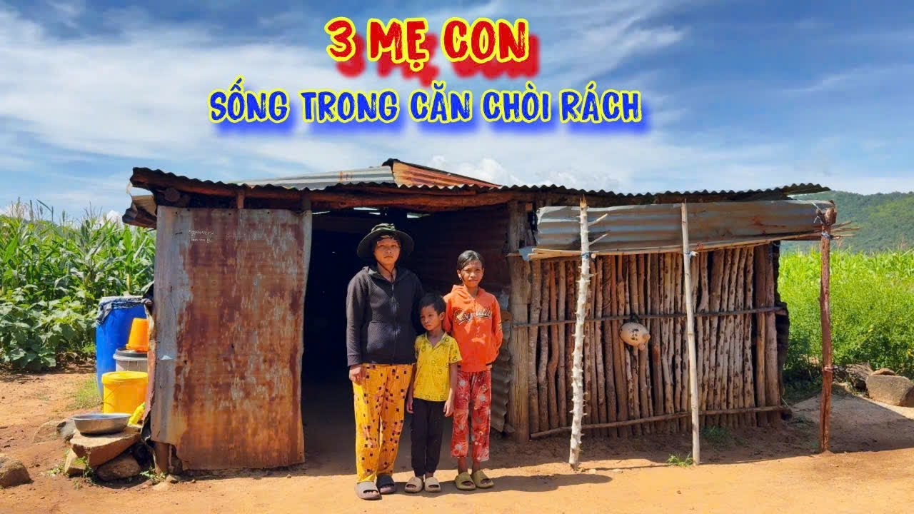 3 MẸ CON sống nương tựa vào nhau, ăn ngủ ở trong CĂN NHÀ mục nát - tập 1214