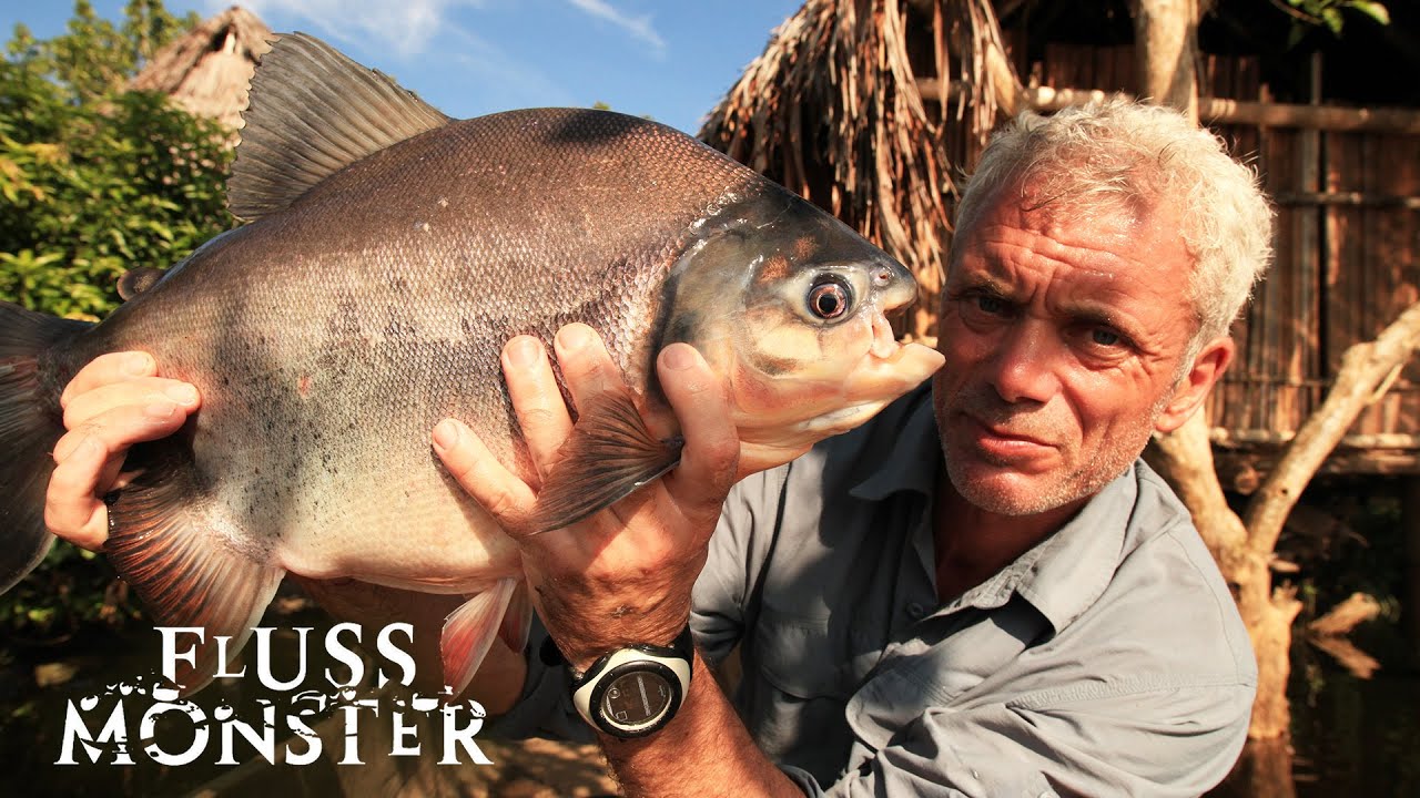 Der rote Pacu: Seltsame Todesf&auml;lle im Fluss | S3 E02 | Fluss Monster