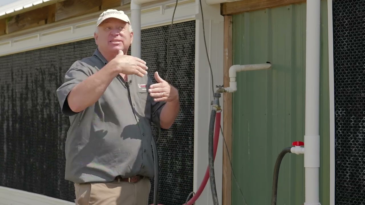 Why we use evaporative cooling pads to cool poultry