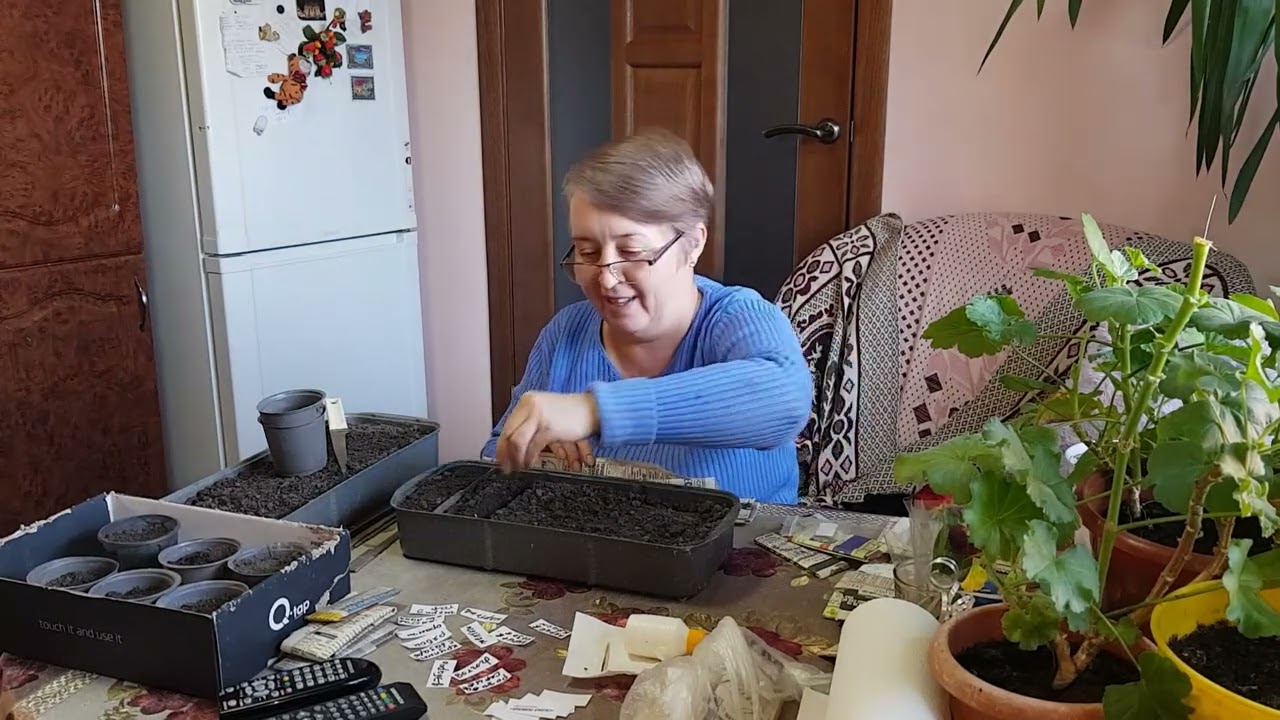 Опять посадки , болталки .