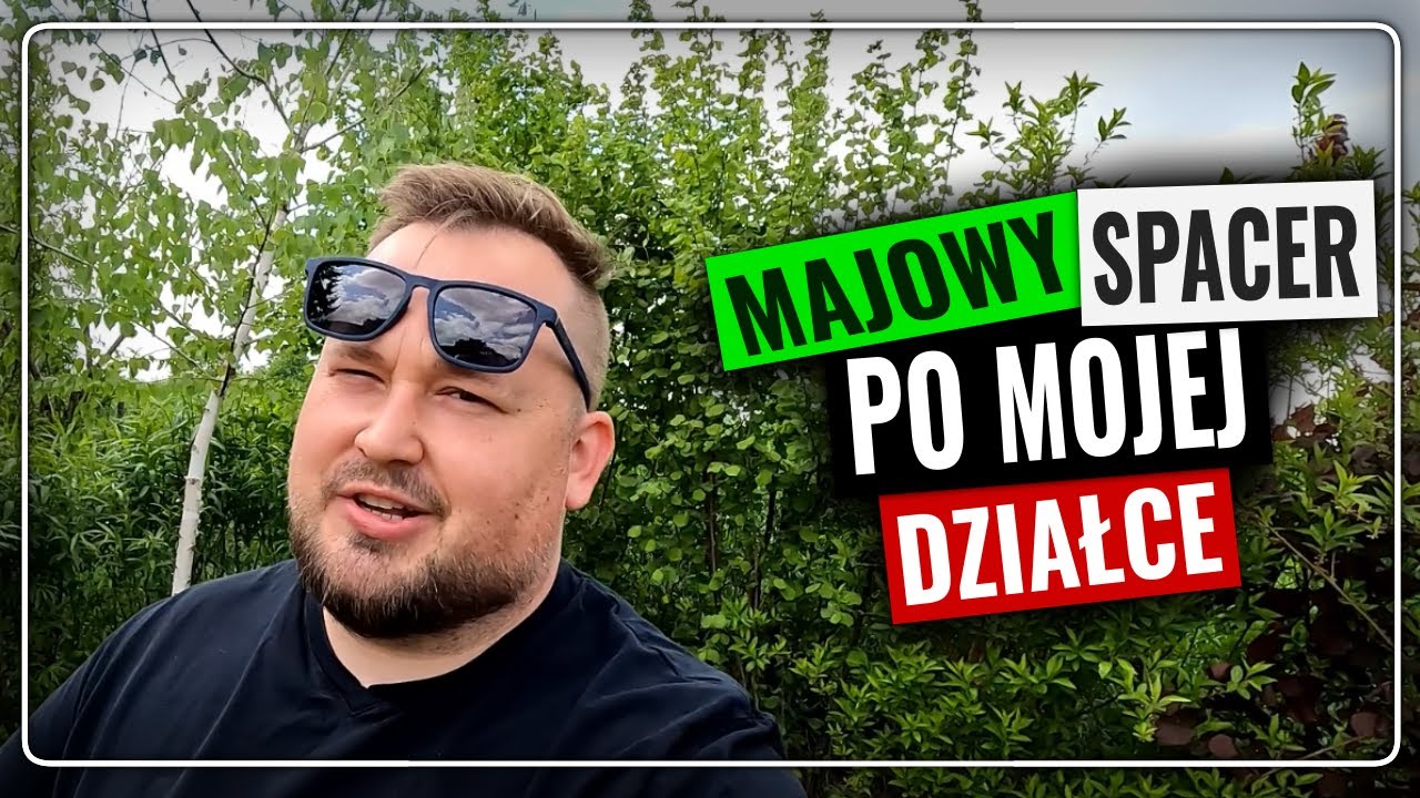 majówkowy spacer po działce ROD