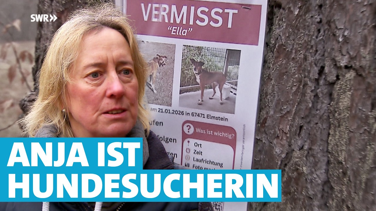 Unterwegs mit Hundesucherin Anja